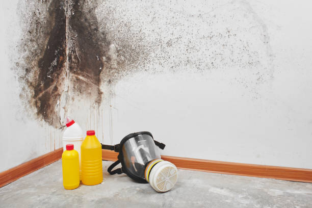 Best Mold Removal Process  in Crandall, TX
