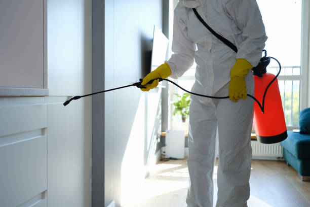 Crandall, TX Mold Removal Company
