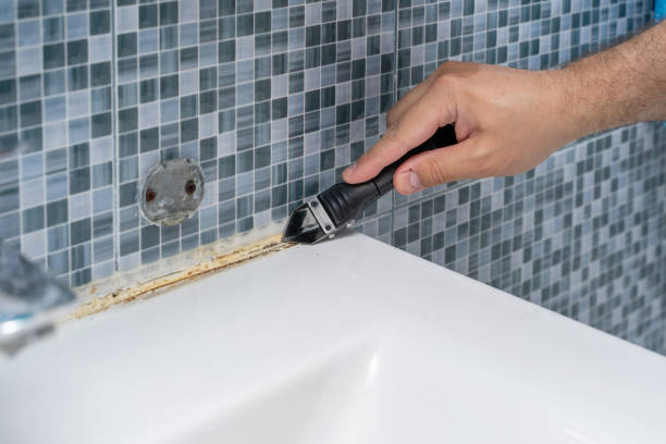 Best Mold Testing  in Crandall, TX