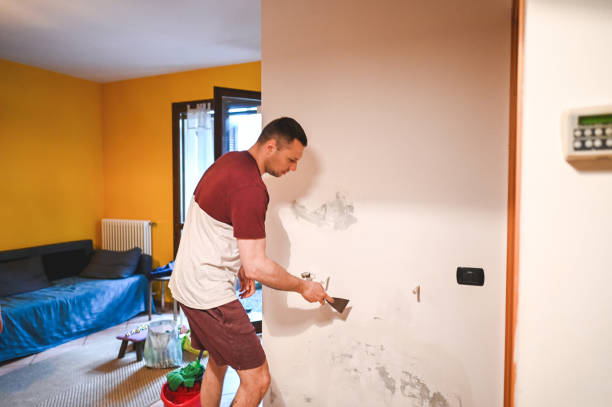Mold Testing and Removal in Crandall, TX