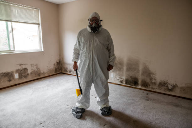 Best Home Mold Removal  in Crandall, TX