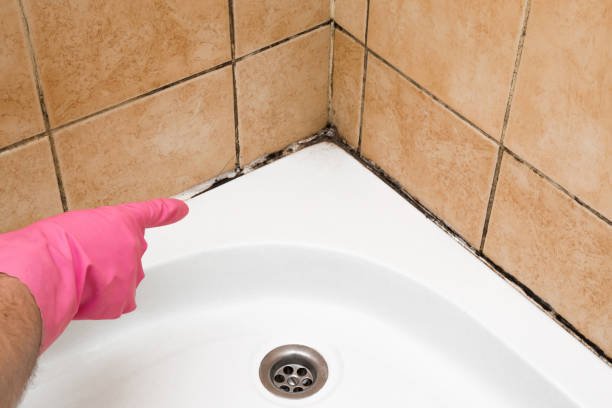 Best Mold Cleaning Services  in Crandall, TX